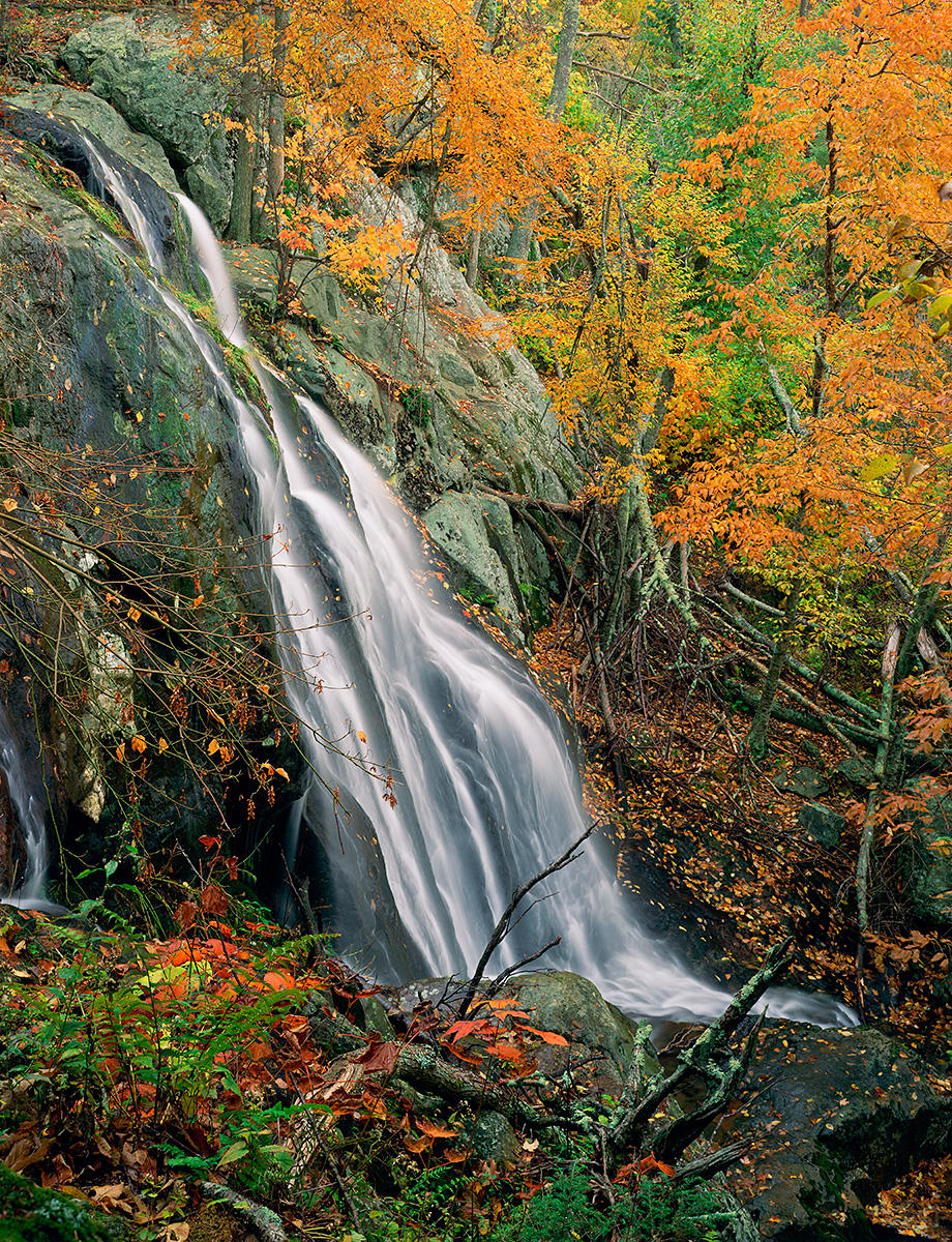 Dark Hollow Falls - Upper Portion