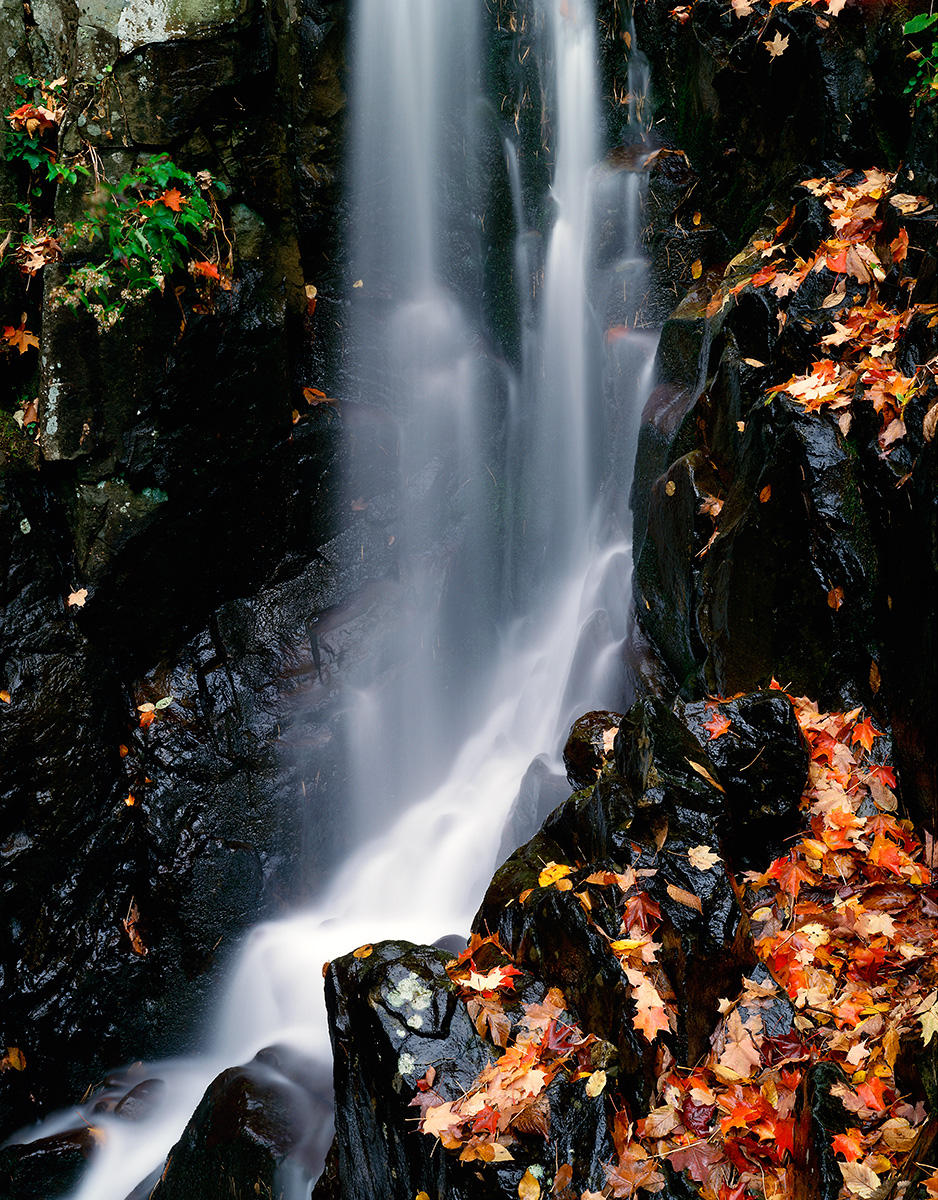 Rose River Falls - Autumn Detail