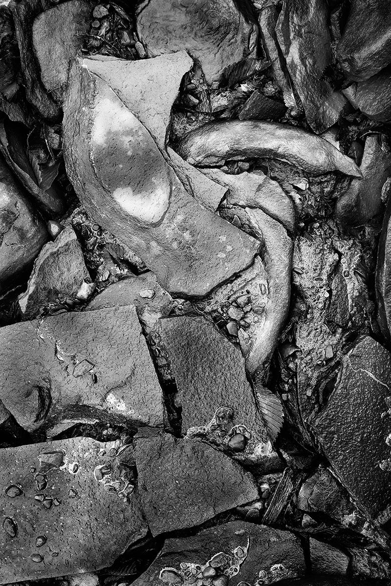 Shore Detail #2