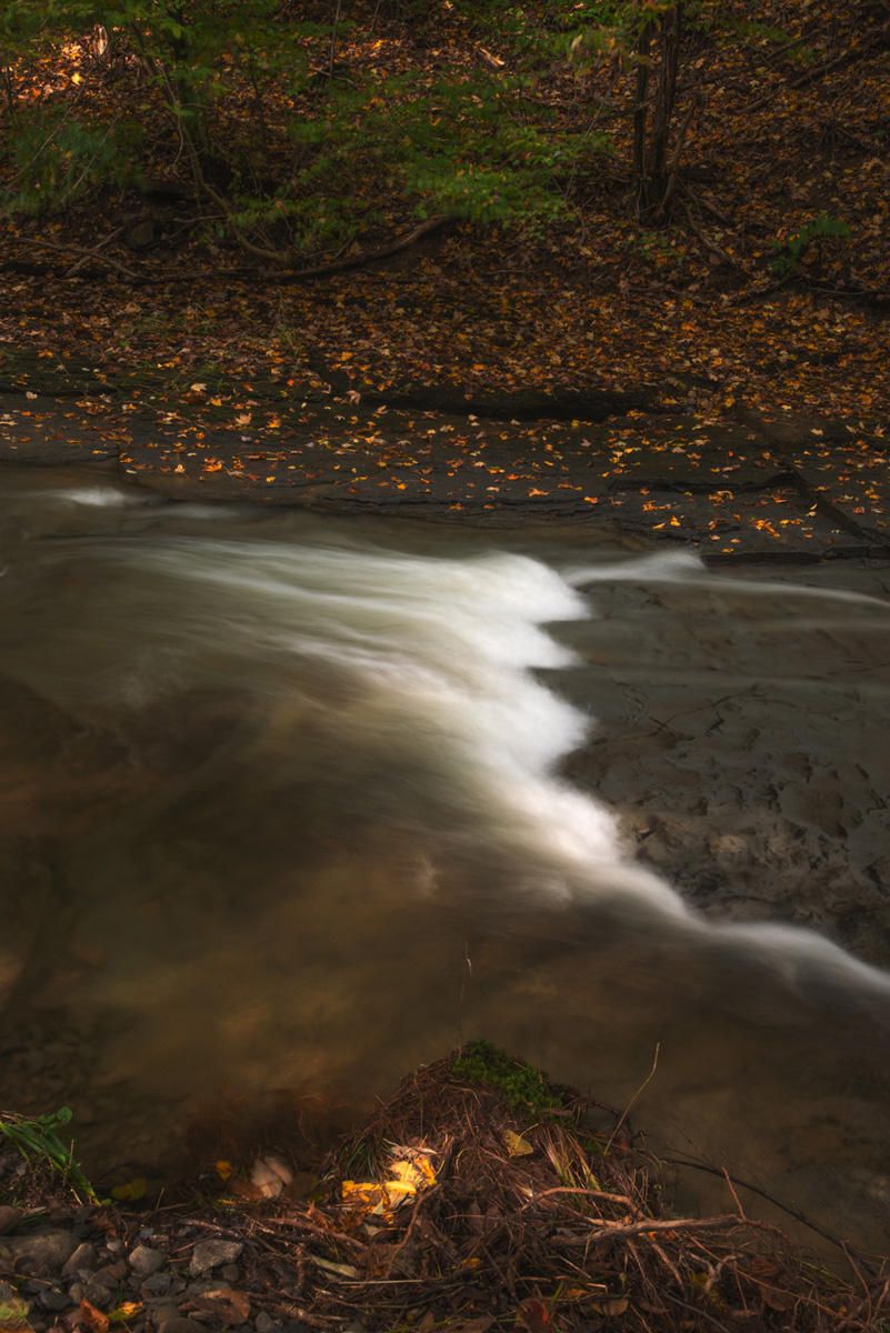 Page Brook Time and light