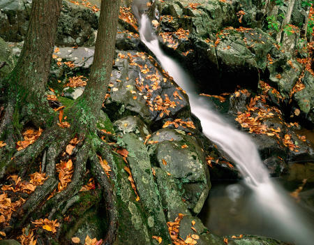 Rose River Falls - Upstream Detail