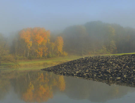 Fog and Foliage #9 ©2019 JW Johnston.jpg