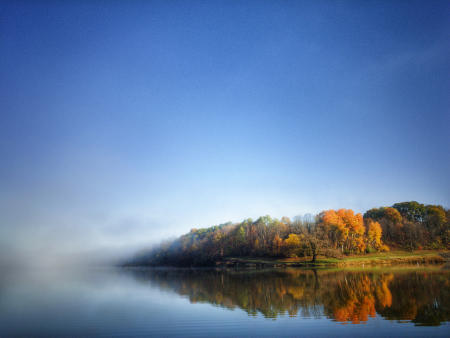 Fog and Foliage #10 ©2019 JW Johnston.jpg