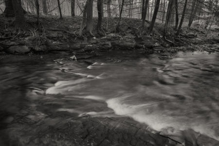 Page Brook, Early Morning #2