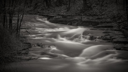 Page Brook, Early Morning #`1